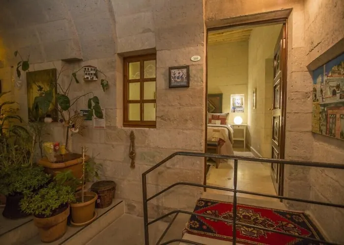 Ansia 2* Учисар